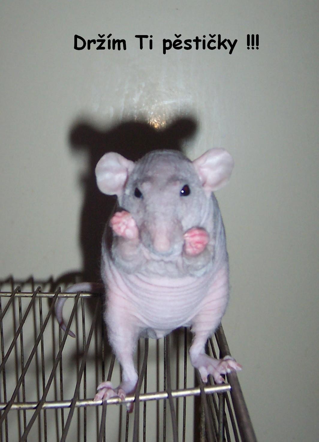 Peňa